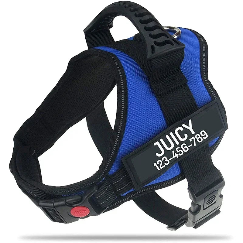 Paawly Ultimate No-Pull Harness