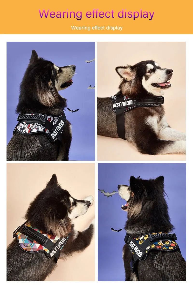 Paawly Ultimate No-Pull Harness