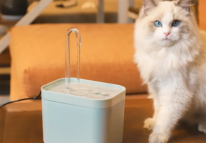 Ultra-Quiet Cat Water Fountain Filter Smart Automatic Pet Dog Water Dispenser&Burnout Prevention Pump1.5L Recirculate Filtrin