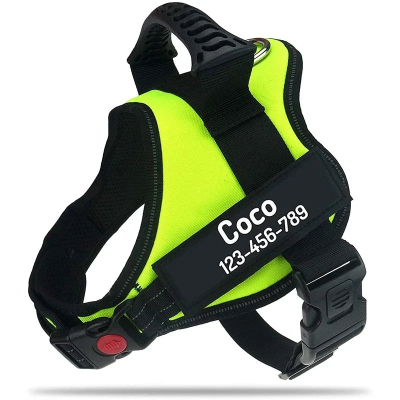 Paawly Ultimate No-Pull Harness